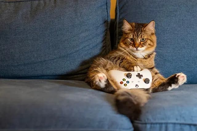 Avoid These Common Mistakes When Buying Gaming Peripherals
